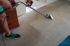 Deep Carpet Cleaning
