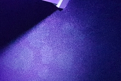 Urine under black light1