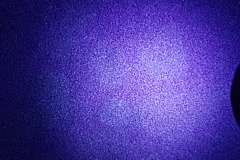 urine under black light2